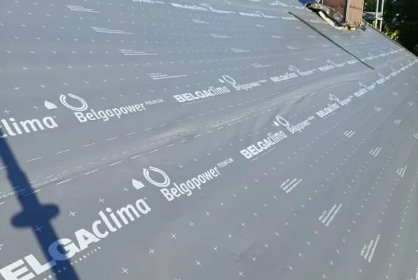 pose isolation sarking pose isolation sarking